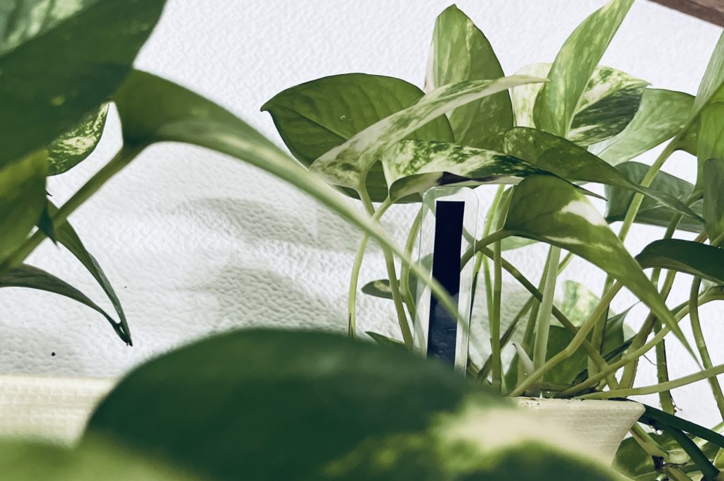 ミラパン電子スティック (15cm)：使用例